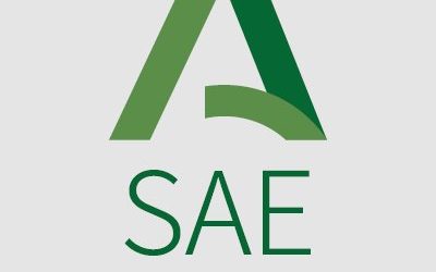 INFORMACIÓN DE INTERÉS DEL SAE PARA LOS DEMANDANTES DE EMPLEO