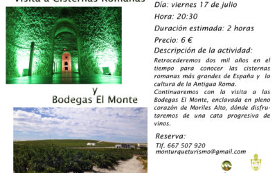 Visita a Cisternas Romanas y Bodegas El Monte